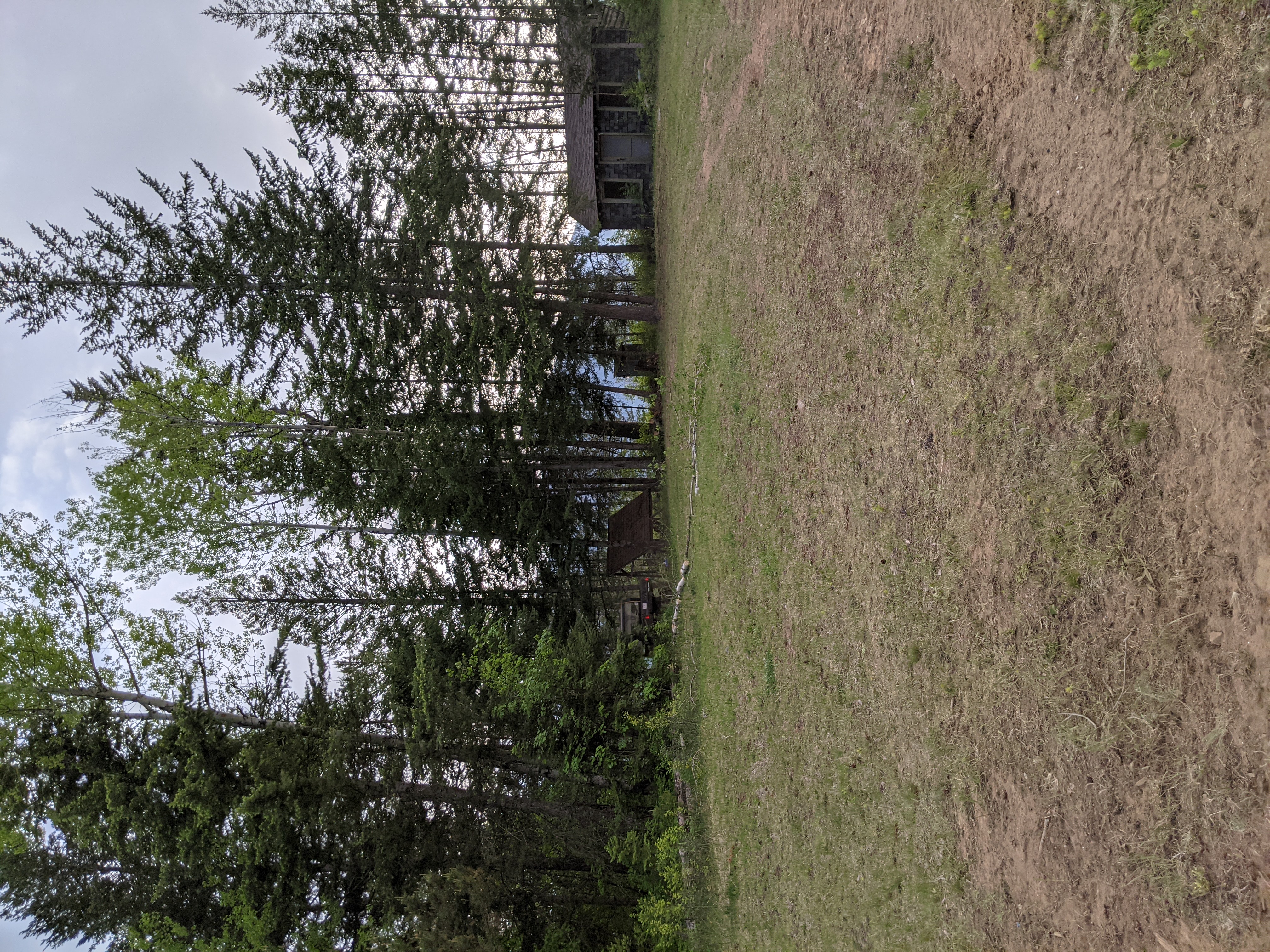 Shot across the field and captures old cabin